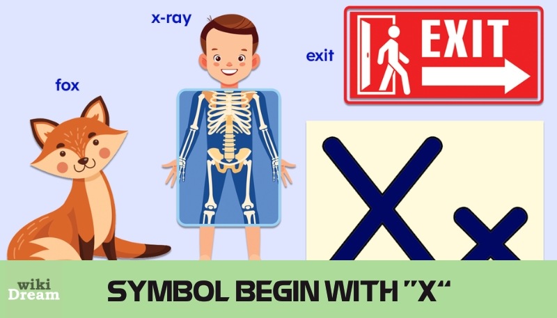 Dream Dictionary of Symbols Names Begin with Letter X