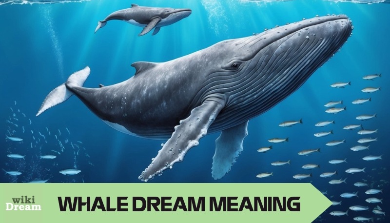 Whale dream meaning: Massive creatures symbolizing inner strength and healing.