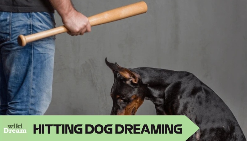 Dreams about hitting dogs indicate deep psychological and spiritual significance, representing inner conflicts, repressed emotions, and disrupted spiritual connections. 