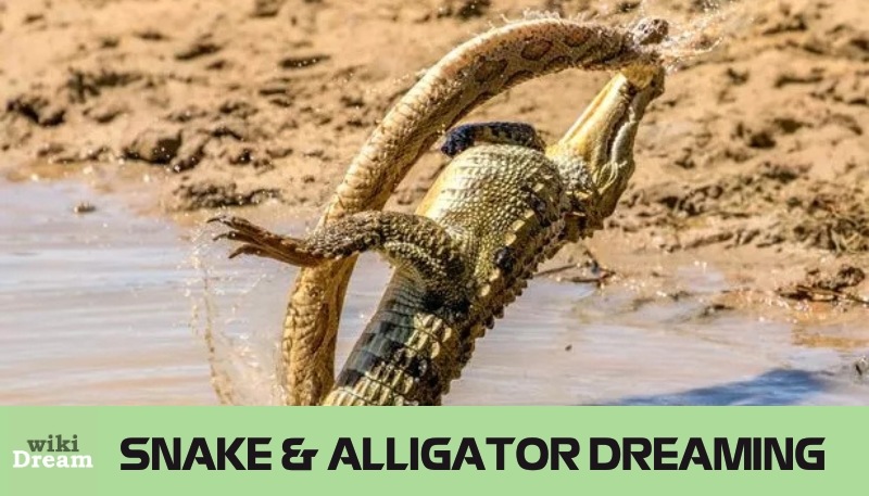 Snakes and alligators in dreams: How lurking shadows reveal your destiny