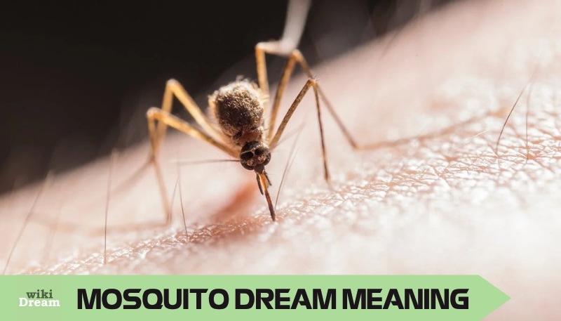 MOSQUITOES dream meaning: Adaptability, change, and transformation signs