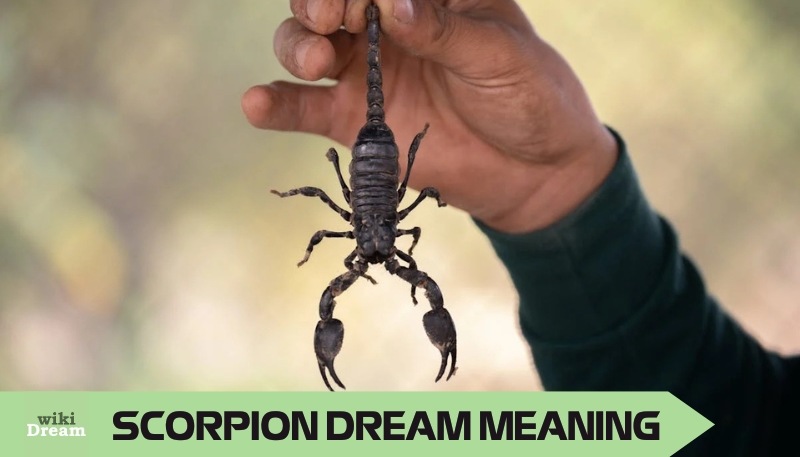 SCORPION dream meaning: Causes, symbolism, subconscious manifestations, life aspects